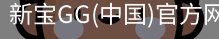 新宝GG